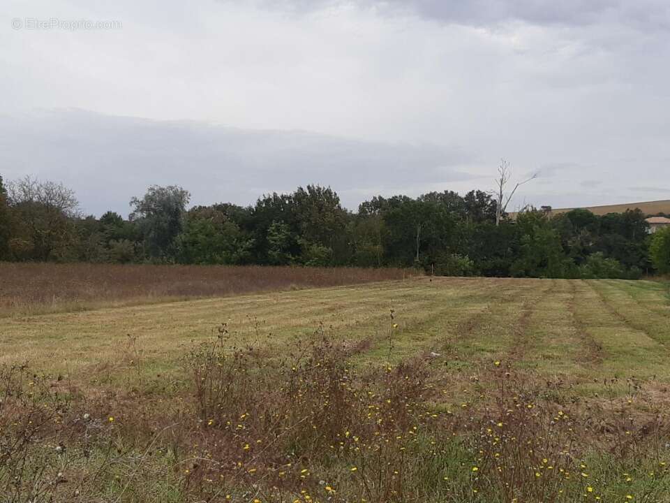 Terrain à MONTJOIRE