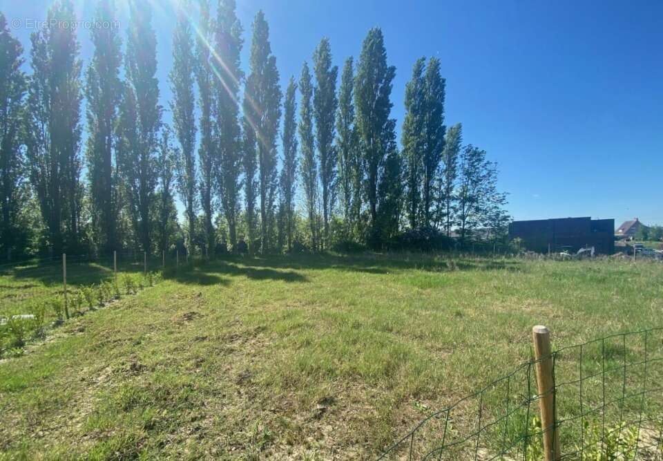 Terrain à MERIGNIES