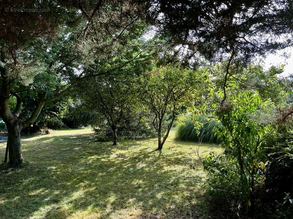 Terrain à SAINT-MALO