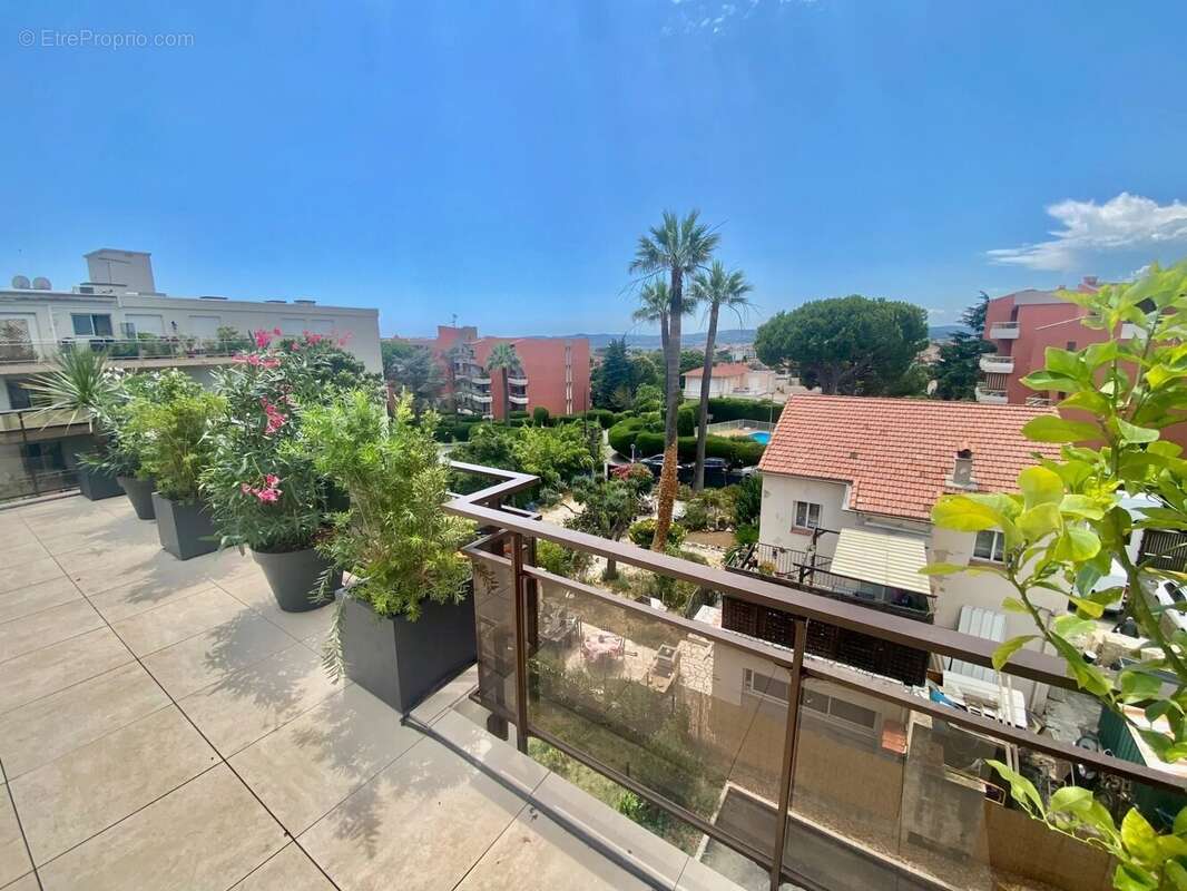St Laurent du Var   Quartier Tzanck - photo 13