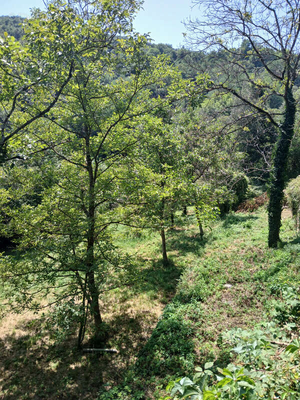 Maison à SAINT-JEAN-DU-GARD