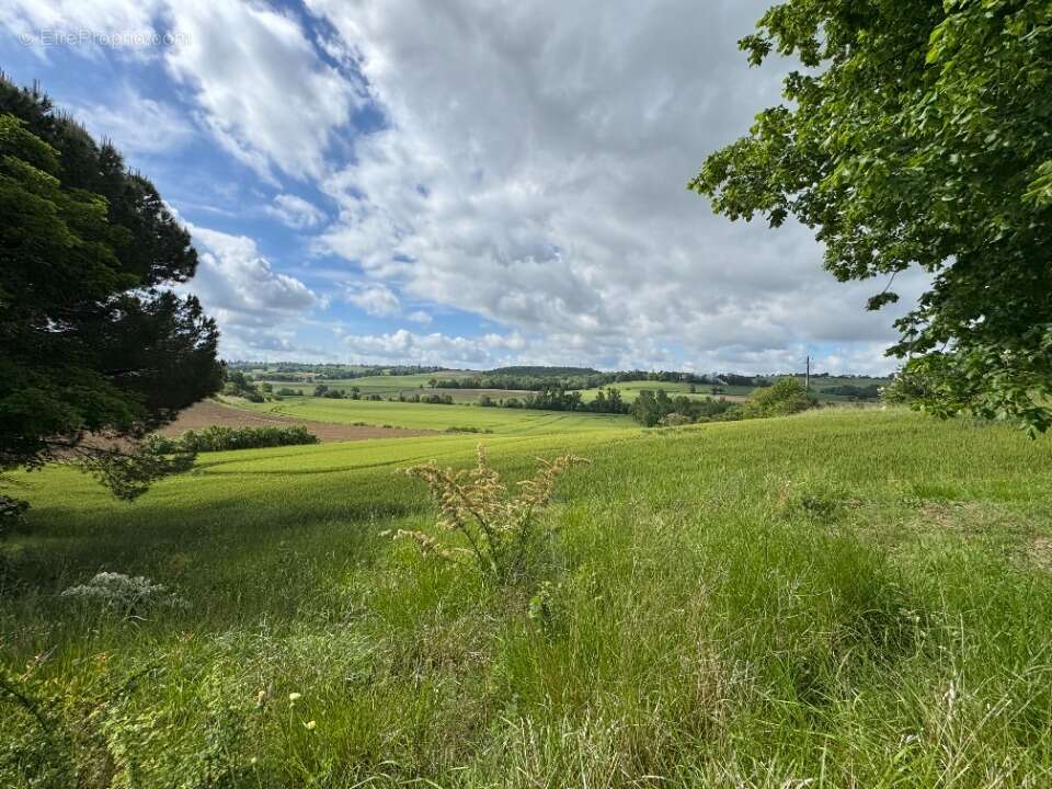 Terrain à DREMIL-LAFAGE