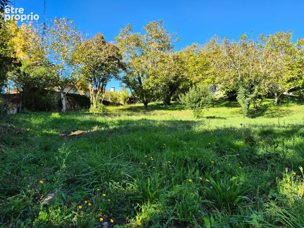 Terrain 1 437 m² à vendre à Castelnau-D'estretefonds (31620) - photo 2