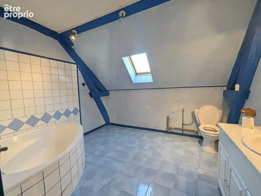 Maison Civray De Touraine 5 pièce(s) 198 m2 - photo 6
