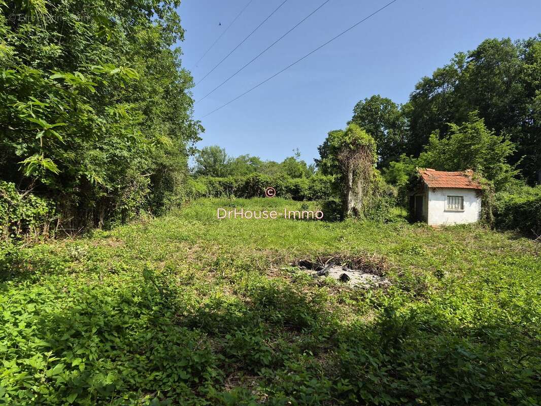 Terrain 1101 m² à Champagne-Sur-Seine  - photo 2