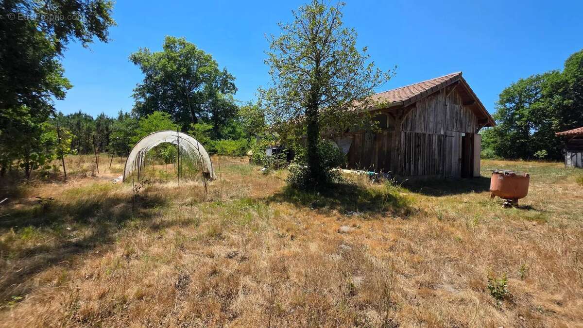 Magnifique et authentique Airial des Landes - photo 44