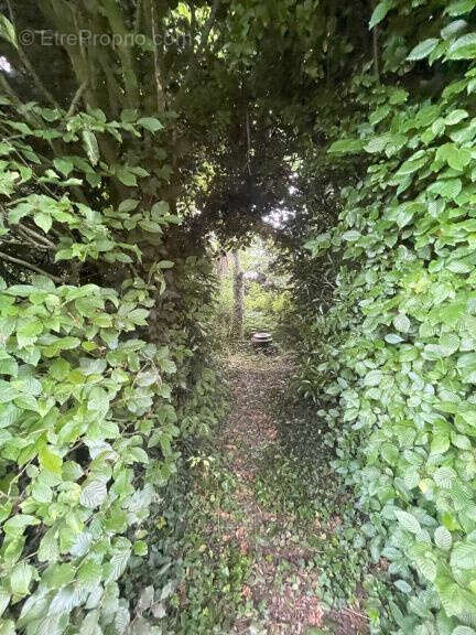 Maison à LOTTINGHEN