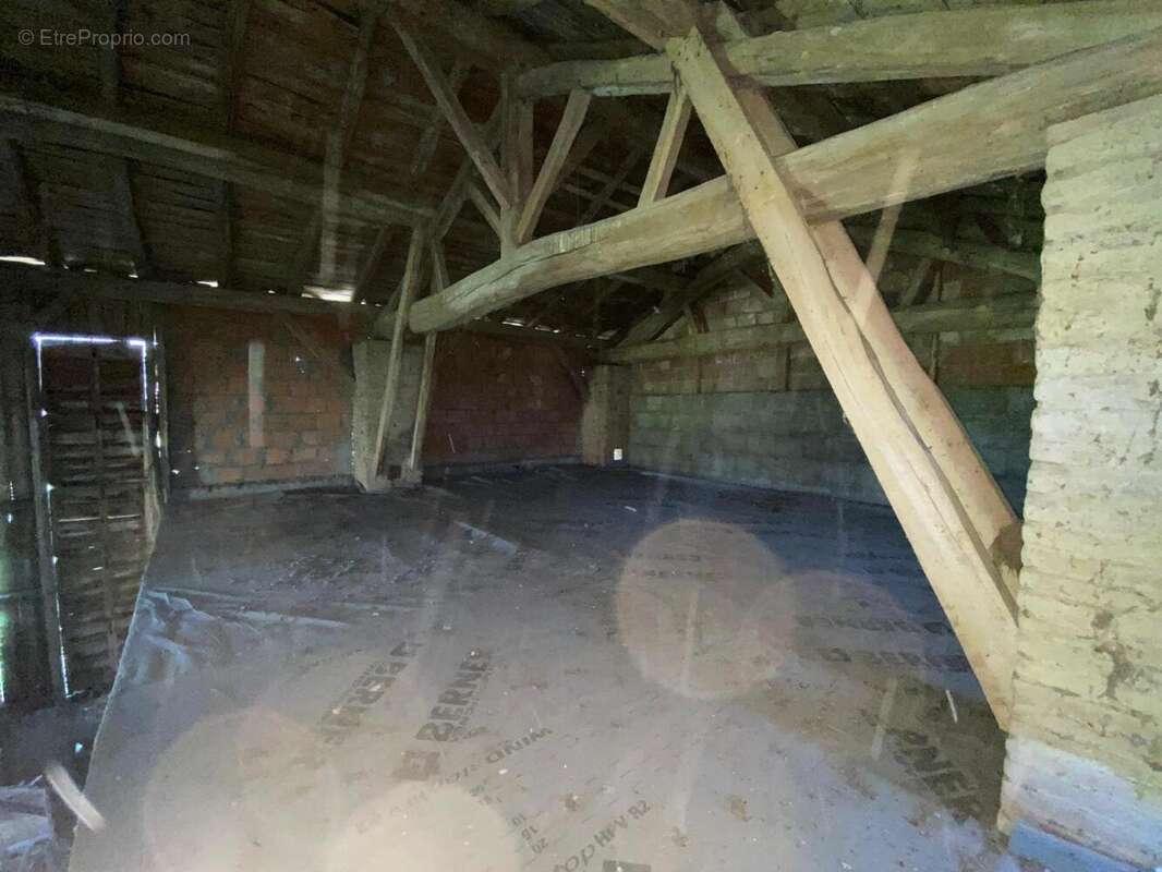 Photo 4 - Maison à SAINT-NICOLAS-DE-LA-GRAVE