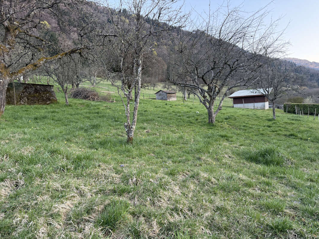 Terrain constructible et libre de constructeur de 1 681 m2 ! - photo 2