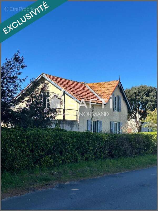 Photo 2 - Maison à SAINT-GEORGES-D'OLERON