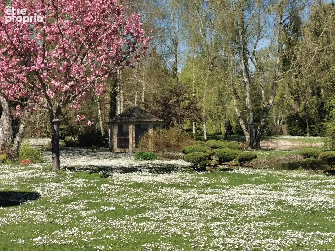 Propriete en sologne avec etang - photo 9
