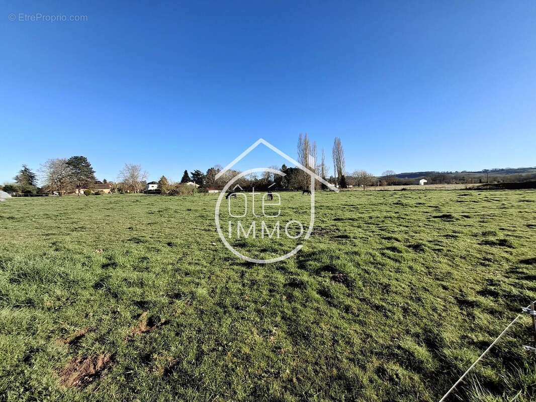 Terrain à SAINT-LAURENT-DES-VIGNES