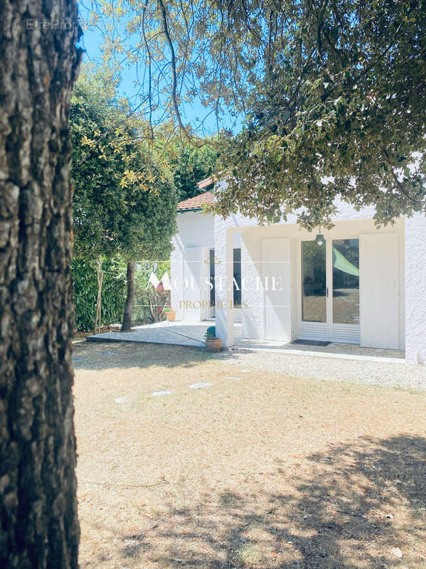 Villa balnéaire à l'emplacement exceptionnel - accès privé à la plage - - photo 25