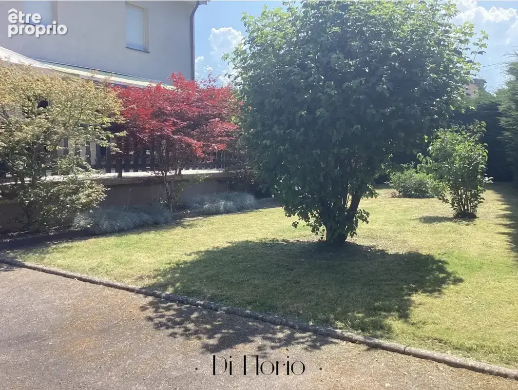Saint-Dié-des-Vosges - Ensemble immobilier 5 appartements - 335m2 - photo 2