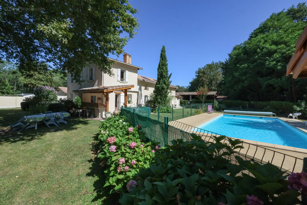 Maison à BELIN-BELIET