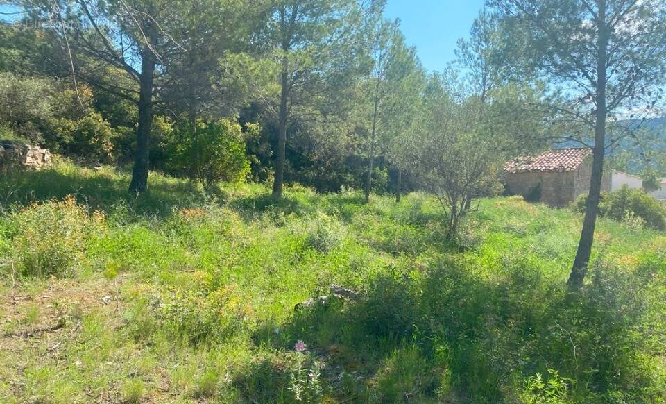 Terrain à BIZE-MINERVOIS