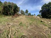 Terrain à LE VAUCLIN