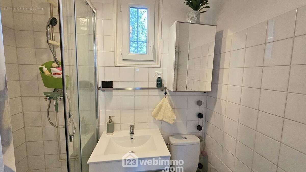 Une salle d'eau/WC de 3 m². - Maison à SAMOIS-SUR-SEINE