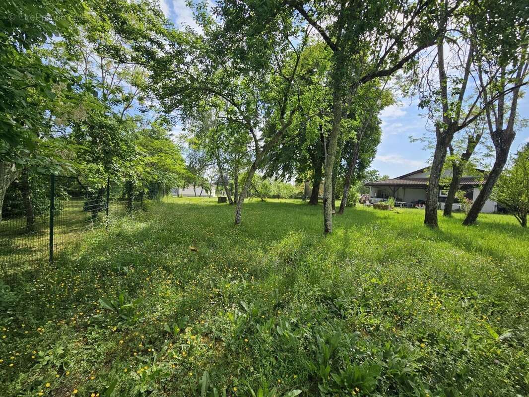 Terrain à bâtir de 490 m² à BEGLES (33) - photo 3