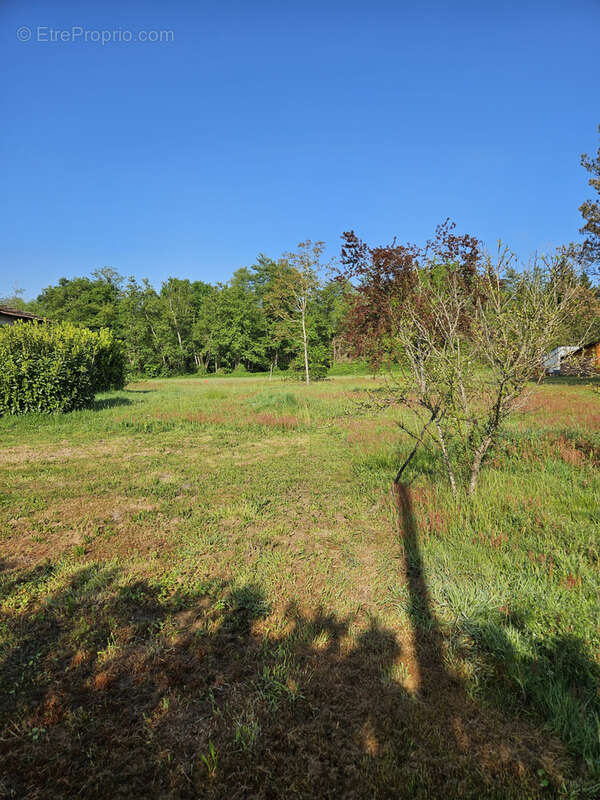 Terrain à GERGY