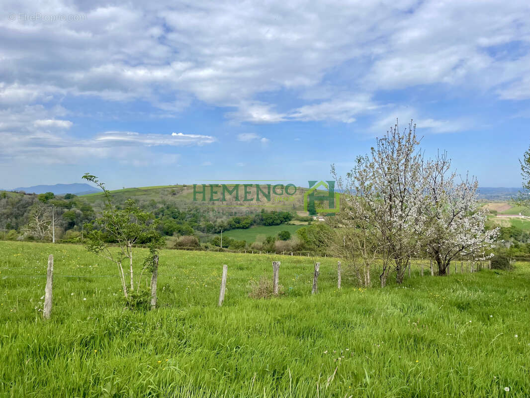 Authenticité, charme et potentiel sur un vaste domaine de plus de 6 hectares - photo 11