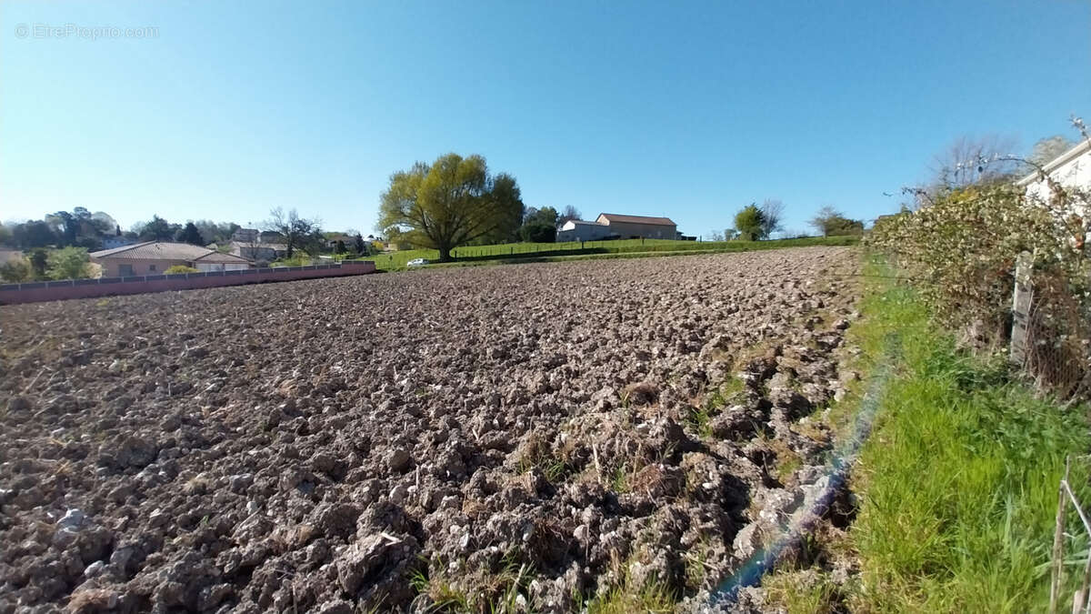 Terrain constructible pour un équipement collectif de 2,2 hectares - photo 7