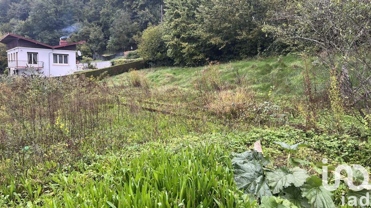 Photo 4 - Terrain à PONT-DE-ROIDE