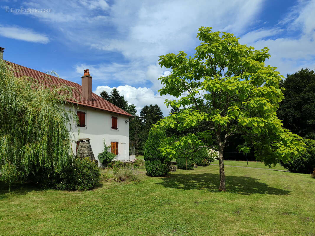 Maison à LE VAL-D'AJOL