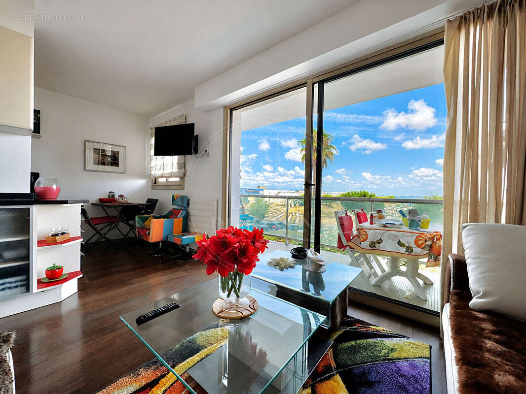 Appartement T2 face au port d'Arcachon - photo 2