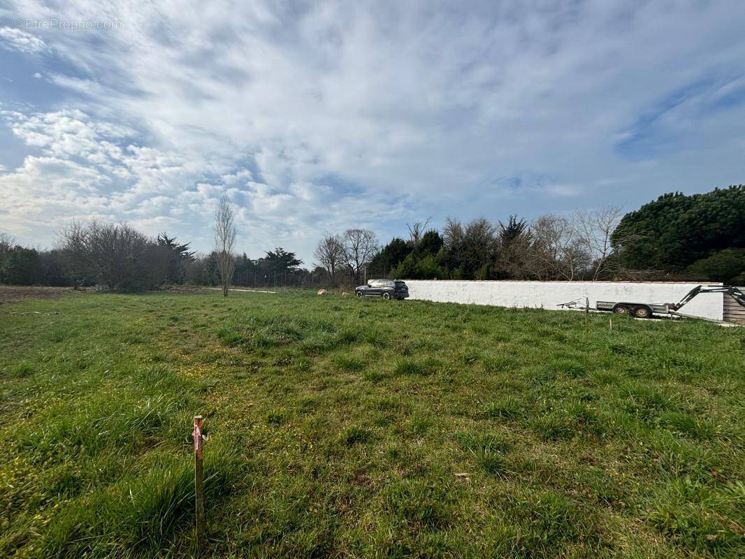 Terrain à SAINT-GEORGES-D&#039;OLERON
