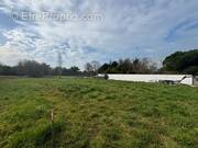 Terrain à SAINT-GEORGES-D&#039;OLERON