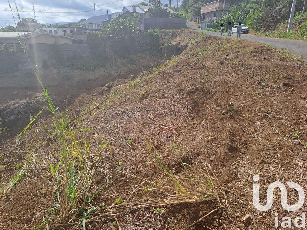 Photo 3 - Terrain à SAINT-PAUL