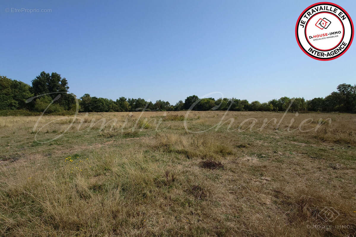 Terrain à SAINT-VIVIEN-DE-MEDOC