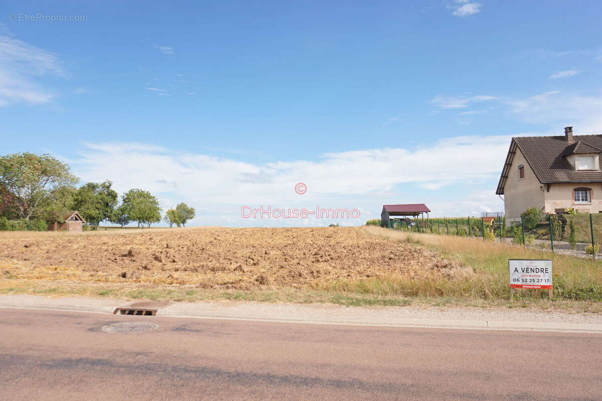Terrain à VILLEMEREUIL