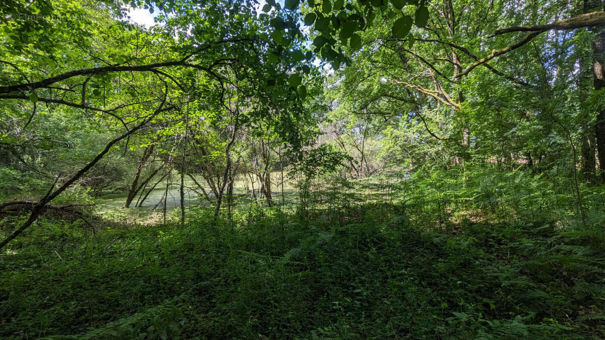 Terrain à USSON-DU-POITOU