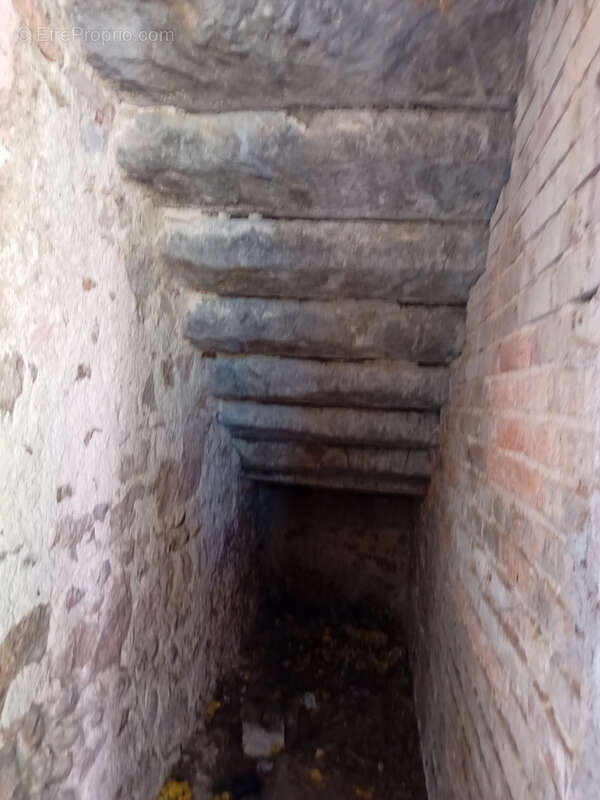 Maison à SAINT-VINCENT-DE-BOISSET