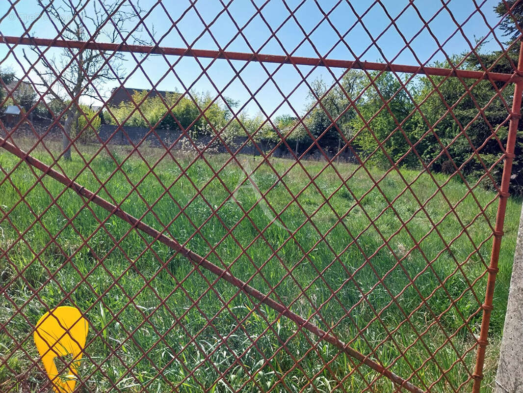 Terrain à LES MUREAUX