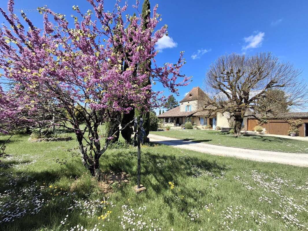 Maison à BEAUMONT-DU-PERIGORD