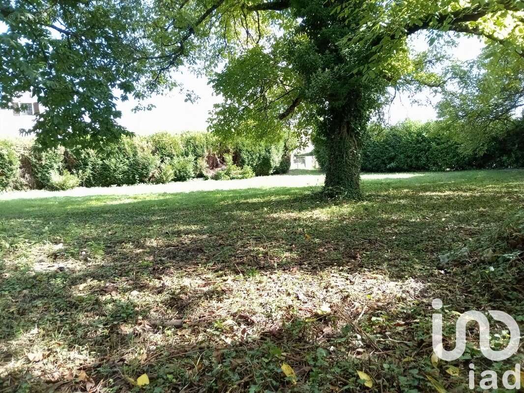 Photo 4 - Terrain à BLANZY