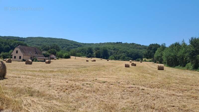 Terrain à vendre de 1 800,00 m² LANZAC (46) - photo 7