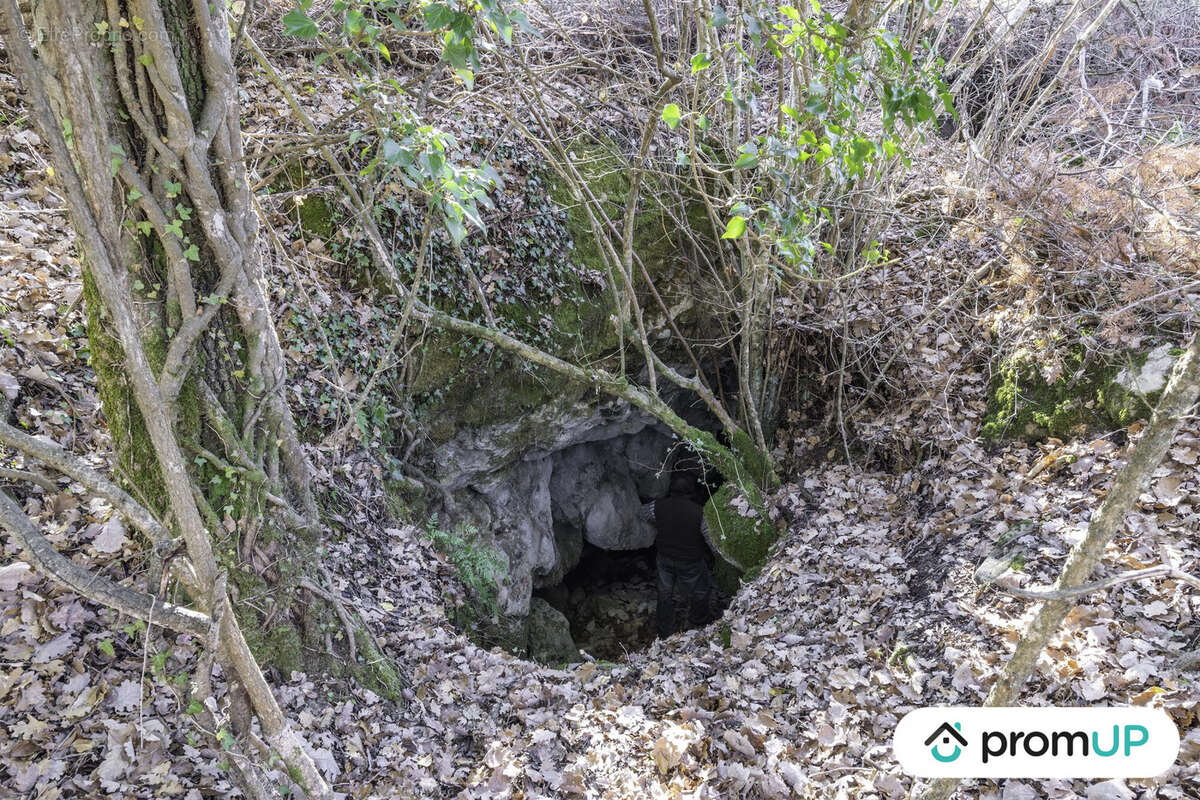 Terrain à SAINT-VALLIER-DE-THIEY