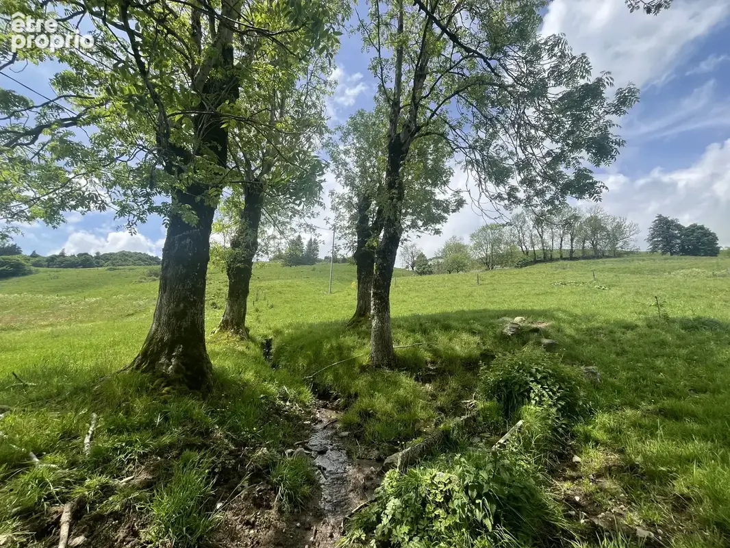 Entre besse et super-besse propriete en pierre avec grange, ecurie et source sur 12594m2 de terrain - photo 4