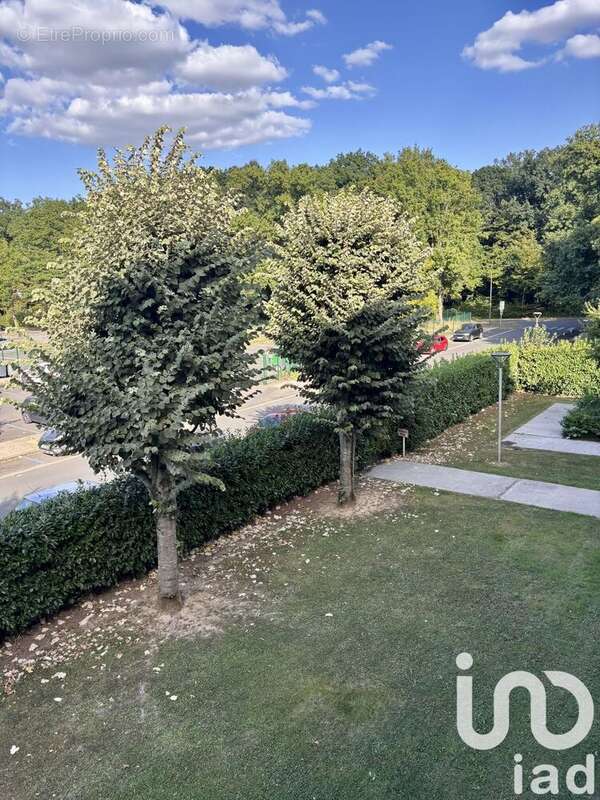 Photo 8 - Appartement à SAVIGNY-LE-TEMPLE