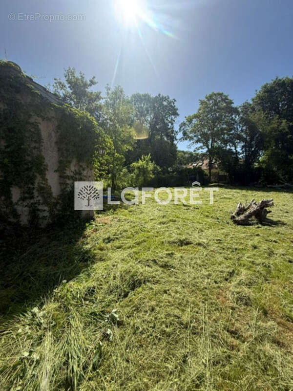 Terrain à ORGEVAL