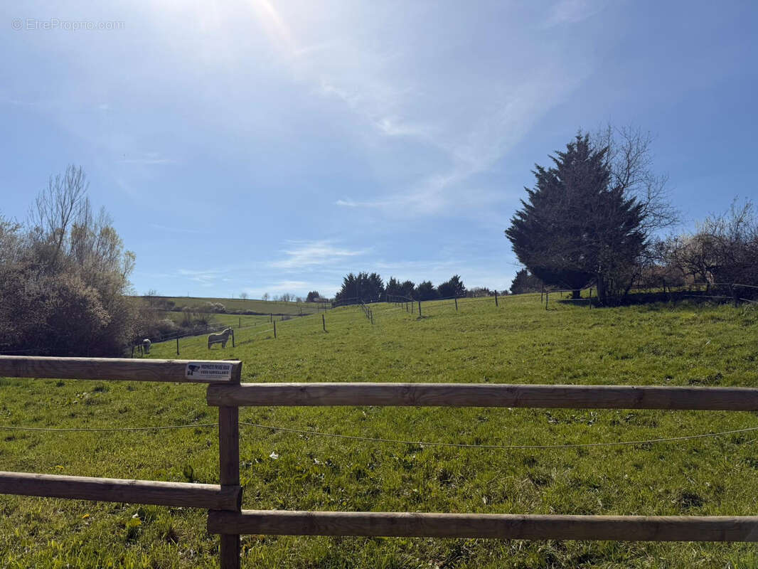 Maison à CLERMONT-FERRAND