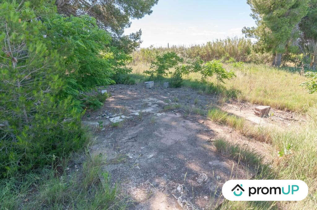 Terrain à MARSEILLAN