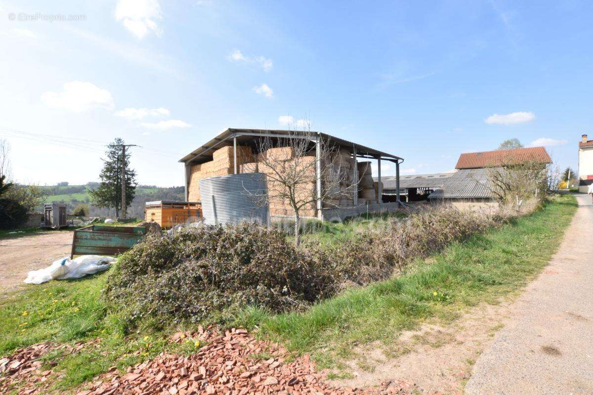 Maison à vendre 5 pièces DOMAIZE (63) - photo 7