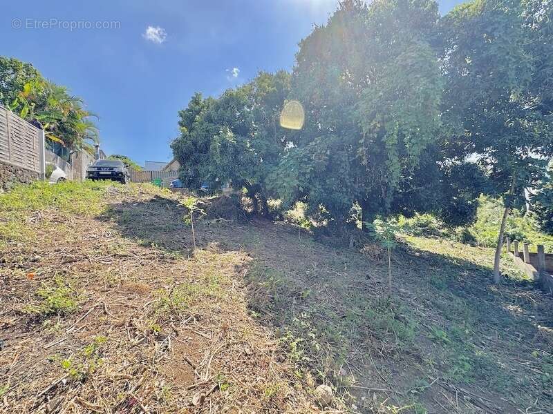 Terrain à SAINT-LOUIS