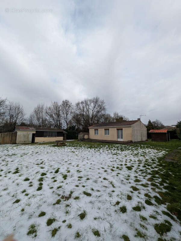 Maison à PESSINES