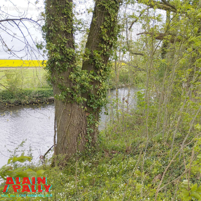 Terrain à TRIZAY-LES-BONNEVAL